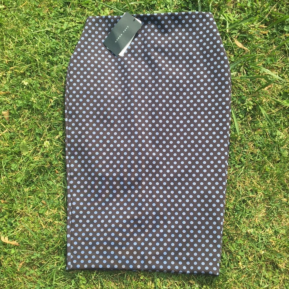 NWT Zara sz S polka dot skirt